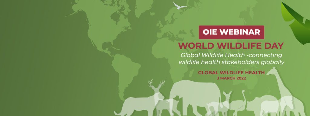 Wildlife day