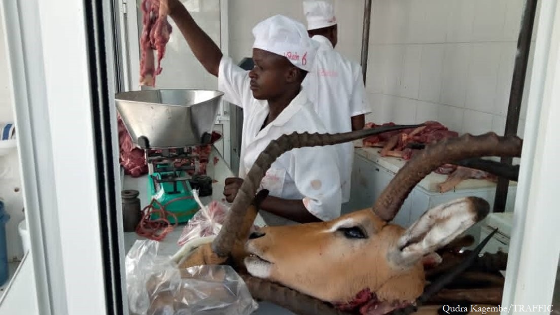 Game Meat Industry