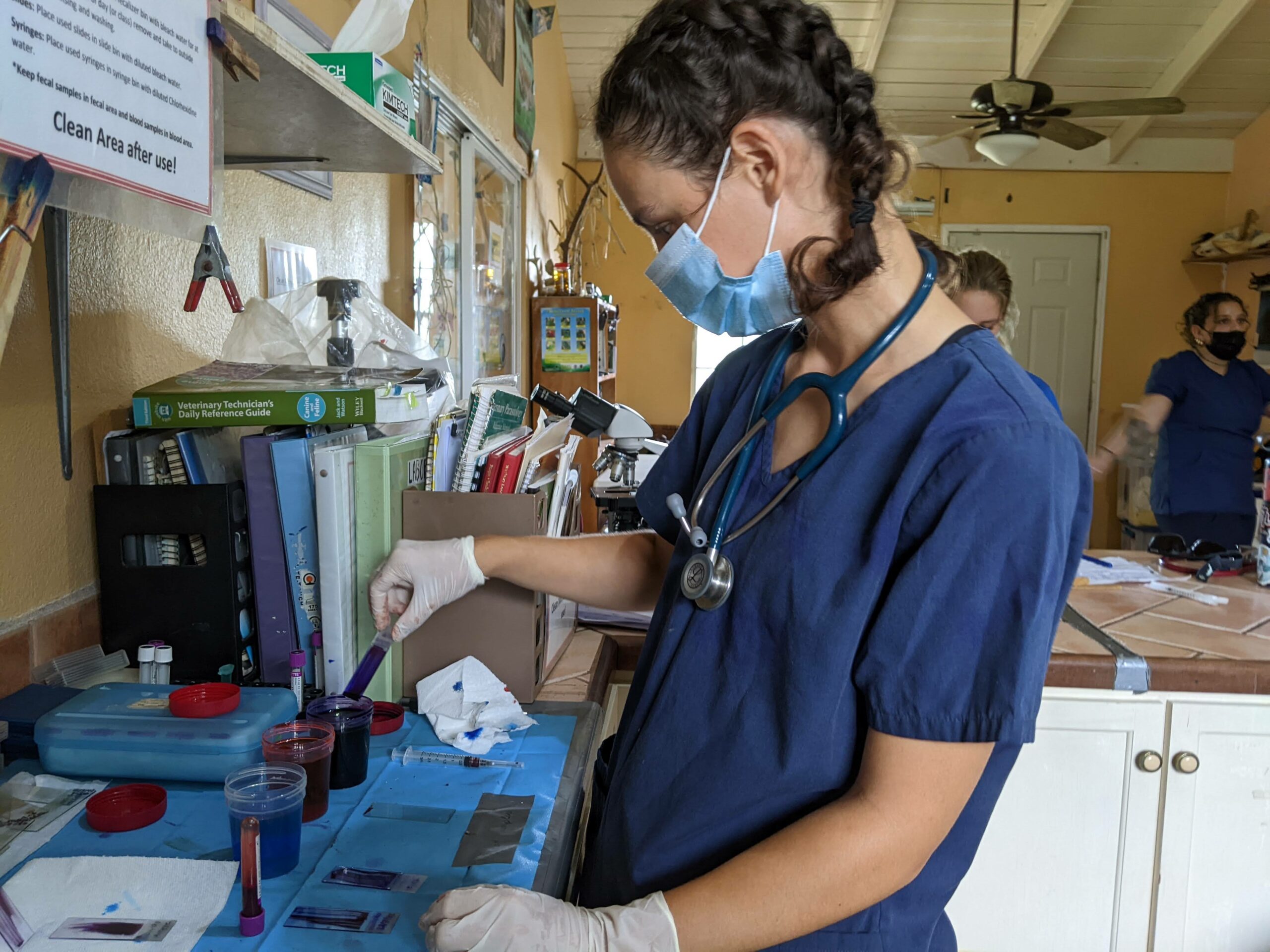 Disease Monitoring of Wildlife Intakes