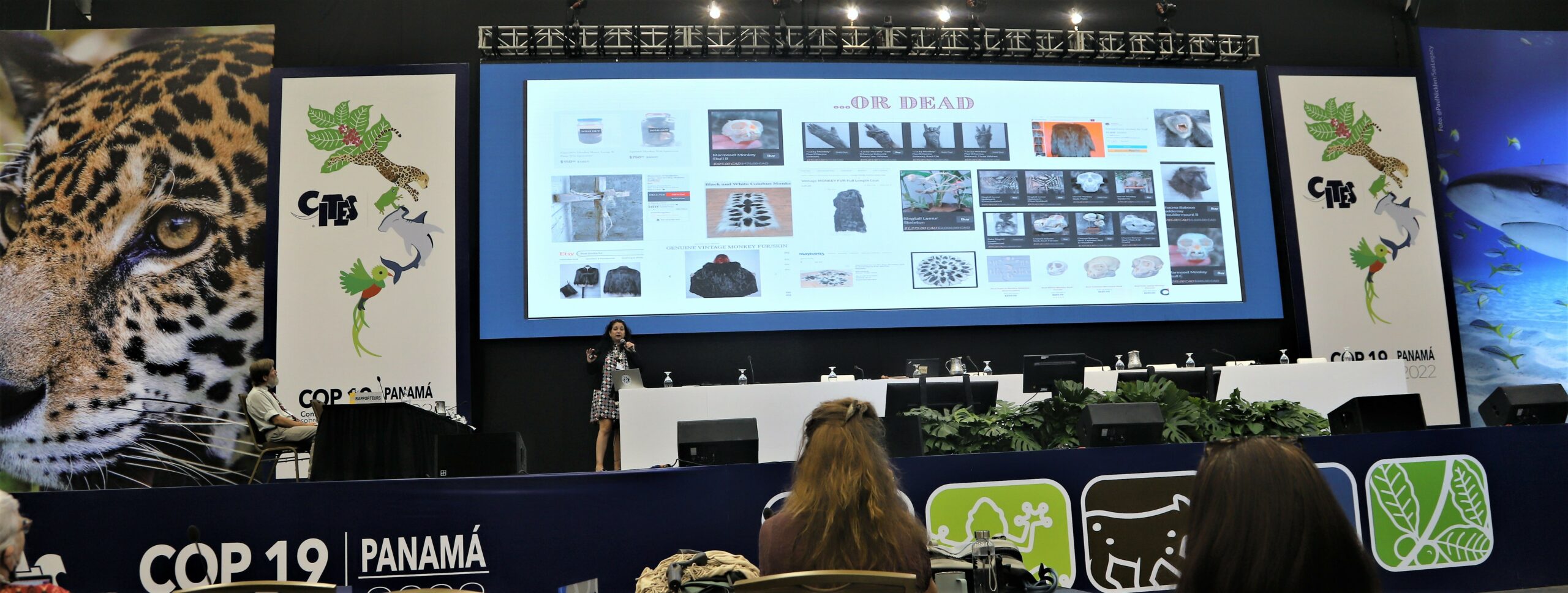 E-Commerce of Wildlife