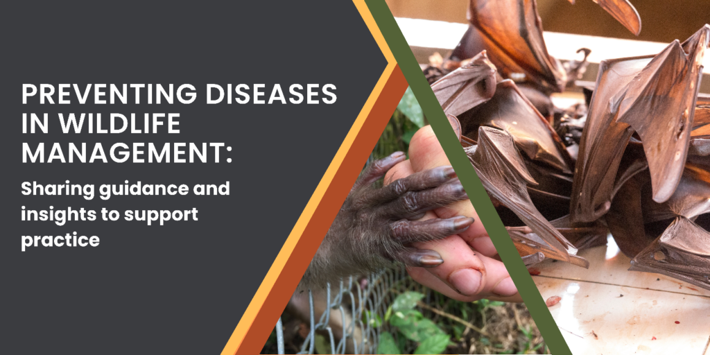 diseases wildlife management
