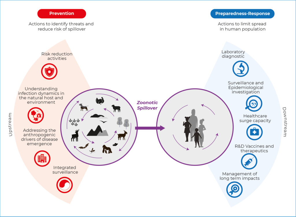 Prevention of zoonotic spillover