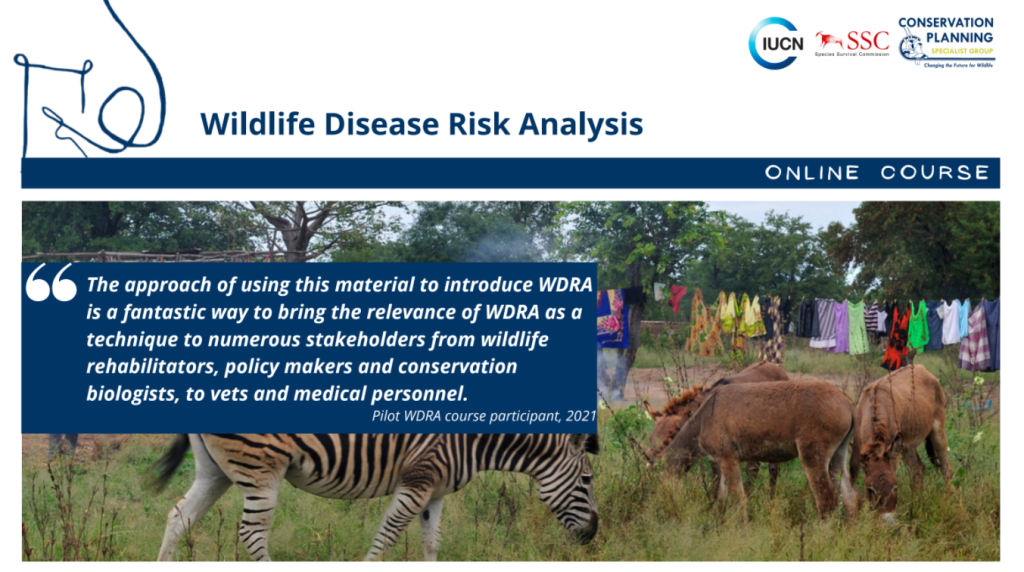 Wildlife Disease Risk analysis