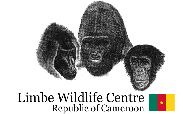 Limbe Wildlife Centre, Cameroon